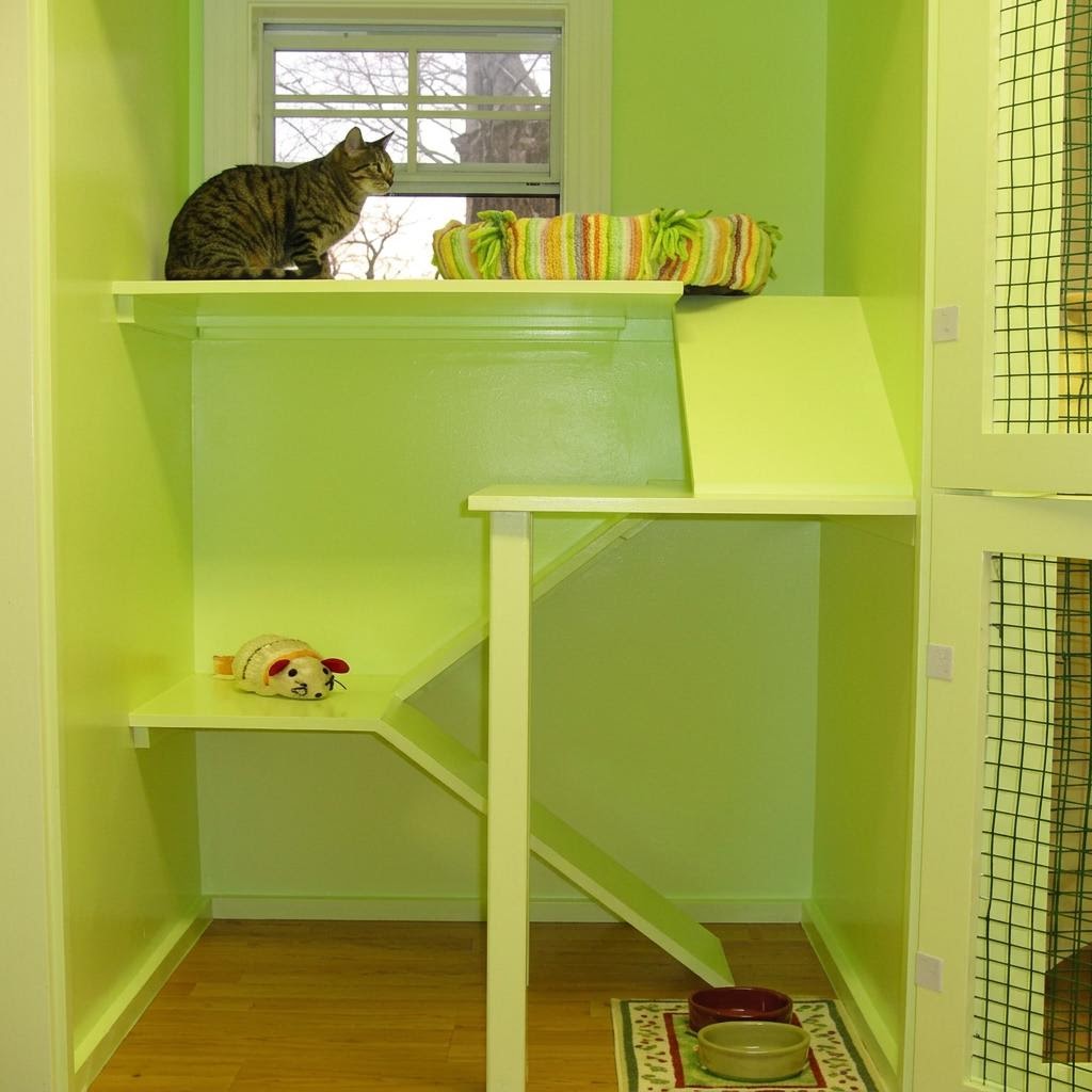 Checking in at Kitty Cottage